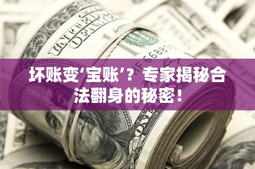 济南坏账变‘宝账’？专家揭秘合法翻身的秘密！