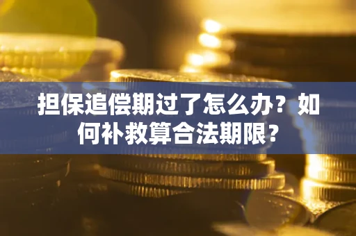 济南担保追偿期过了怎么办？如何补救算合法期限？
